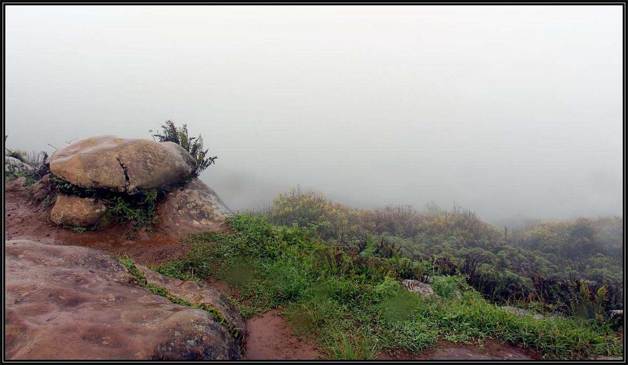 Laguna El Junco