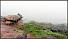 Nebel �ber der Lagune 'El Junco'