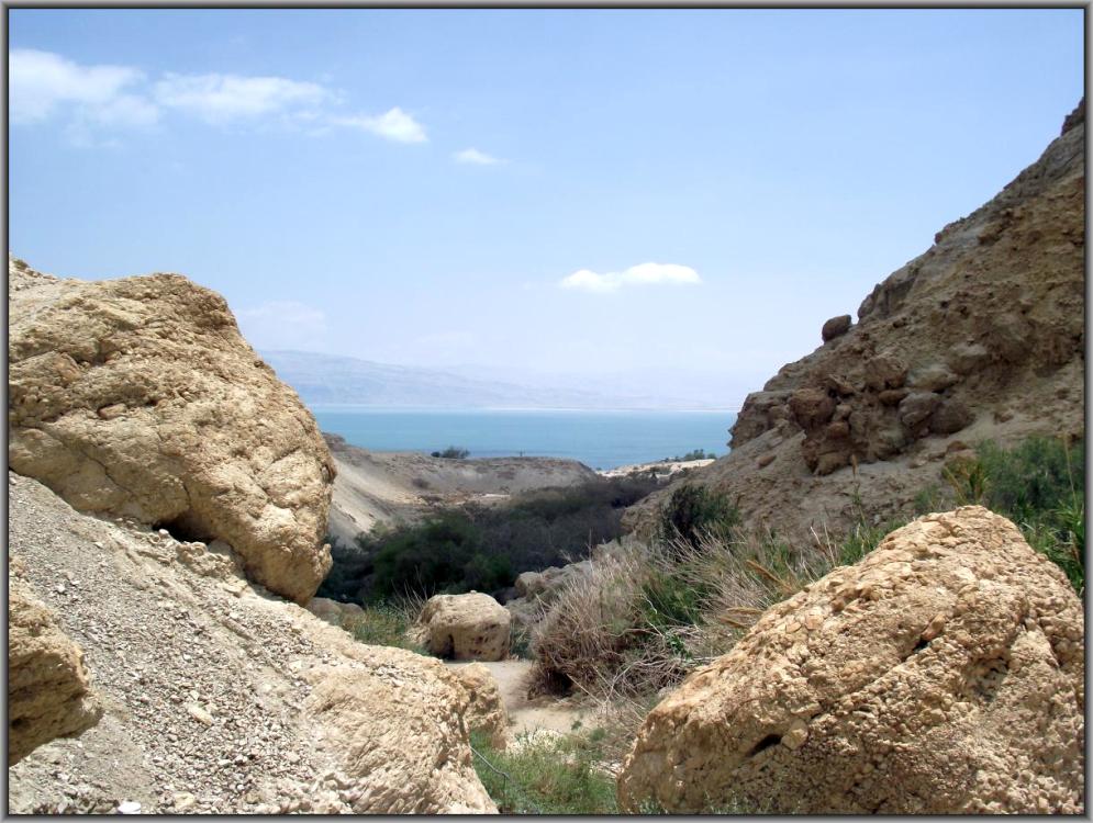 En Gedi