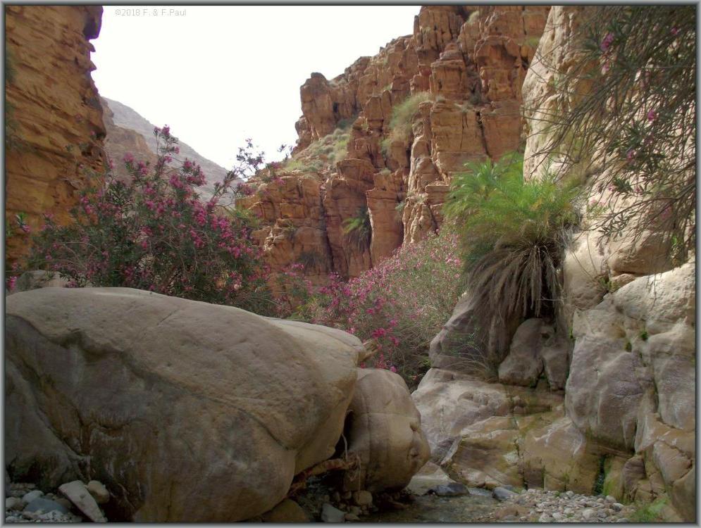 Wadi Fidan