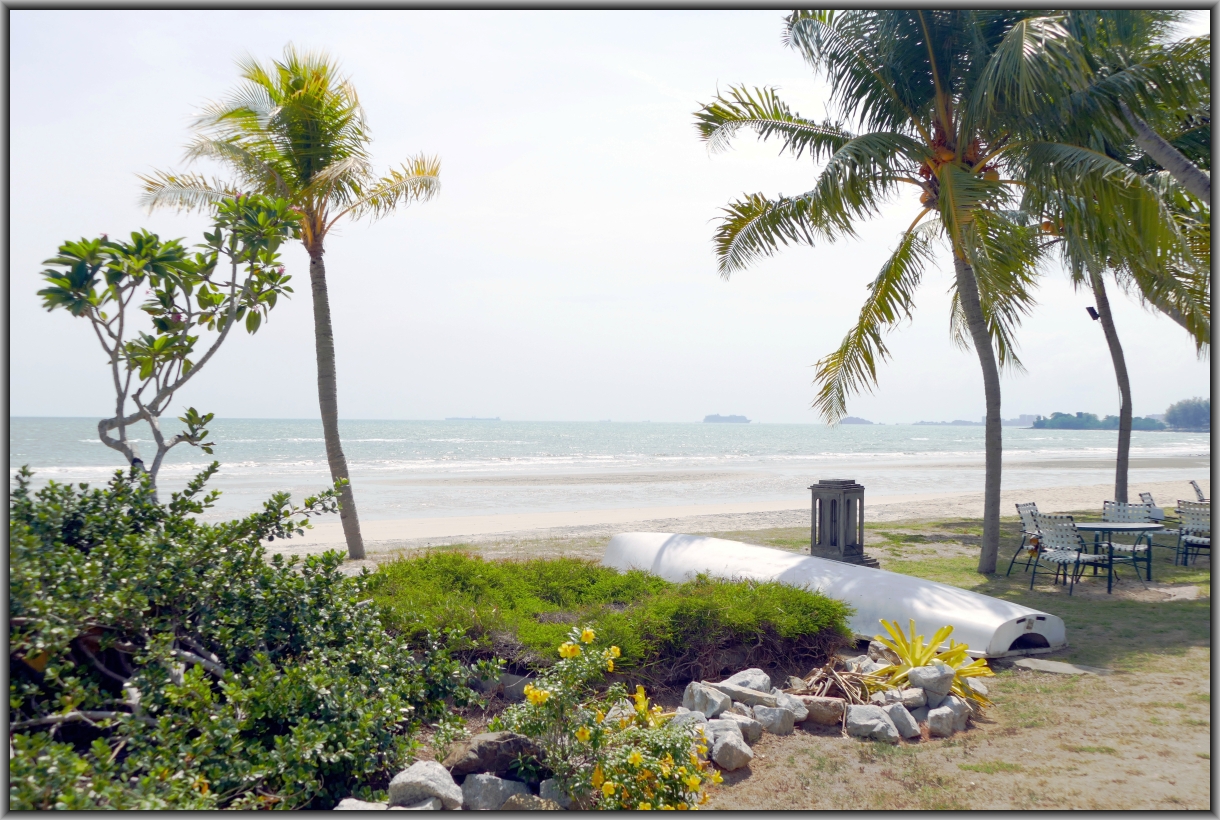 Coconut Grove Beach