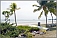 Coconut Grove Beach