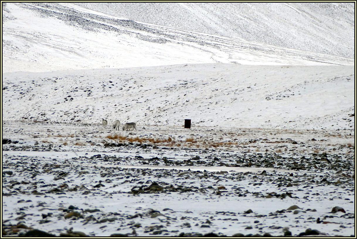 Bj�rndalen