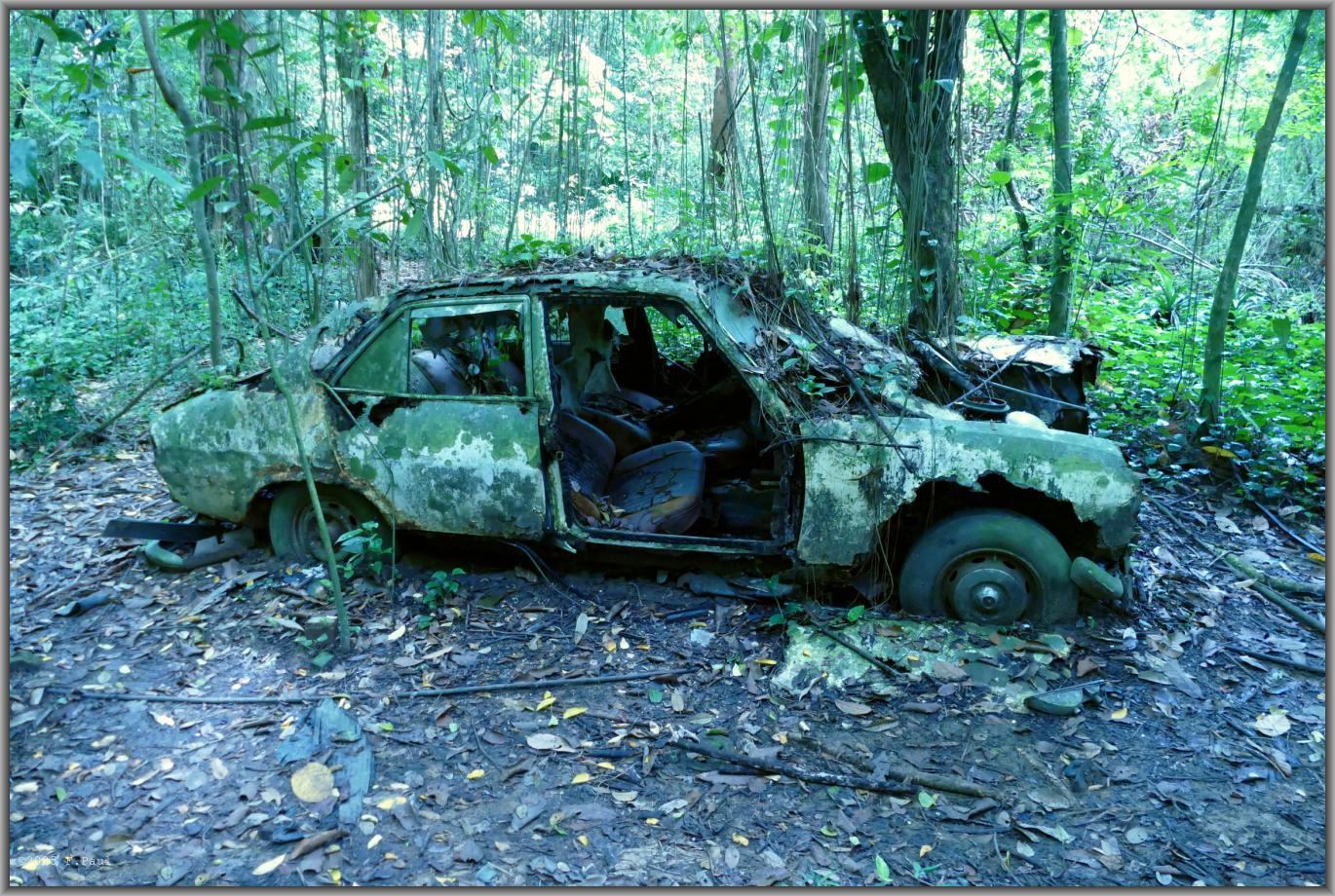 Abandoned Car Trail