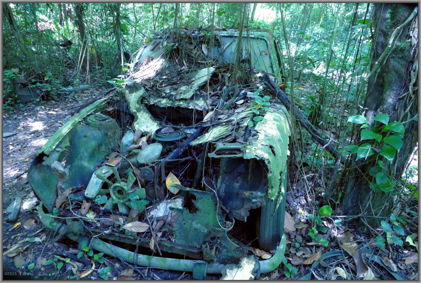 Abandoned Car Trail